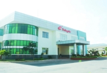 Nhà máy dầu thực vật Tường An